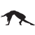 cropped-figur_black-full_big-e1651001531176.png